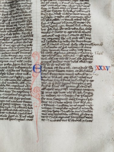 Original manuscript leaf - original, on