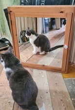 Solid wooden bathroom Mirrored cabinet (ikea discontinued)