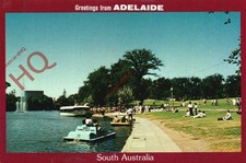 Picture Postcard, Adelaide, the River Torrens, Paddle Boats