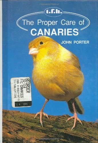 The proper care - care, of