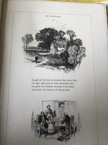 Antique books the traveller - books.,
