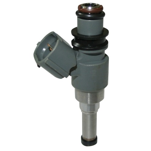 Fuel injector for - fuel,
