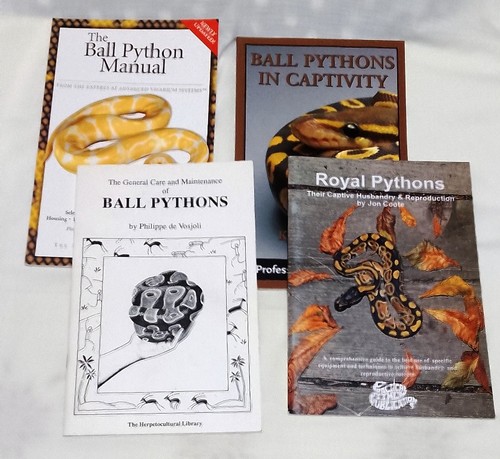 Ball python snakes owners - ball,