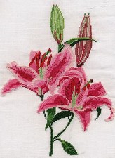 Stargazer Lily counted cross