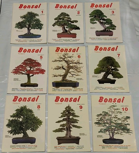 Bonsai today magazine - lot, of