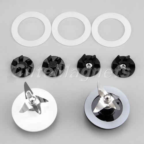 Cutter blade gasket - blade, rubber