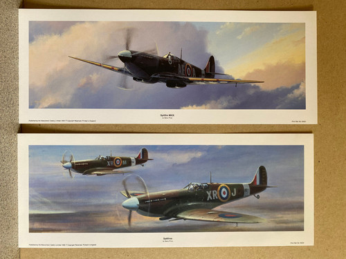 Spitfire aviation art - 2, x