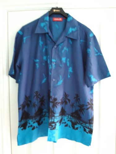 Men hawaiian shirt - men's,