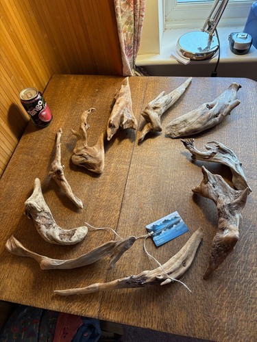 Driftwood pieces long - driftwood,