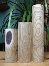Staghorn Sumac Woodturning
