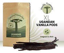 18 XL Uganda Vanilla Pods 17-19cm long plump, full of flavor perfect for baking