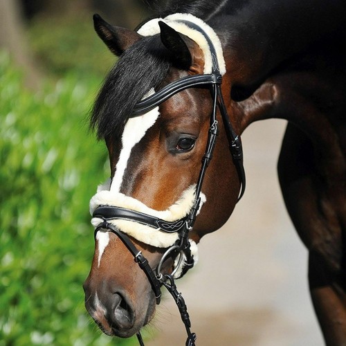 Kavalkade antomical bridle - bridle, "