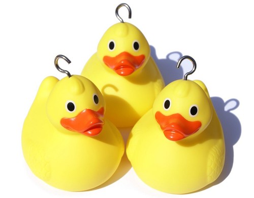 Weighted race ducks for - ducks,