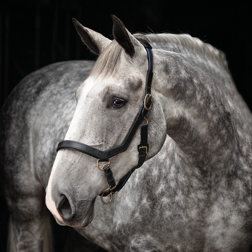 Horseware rambo micklem - horseware,