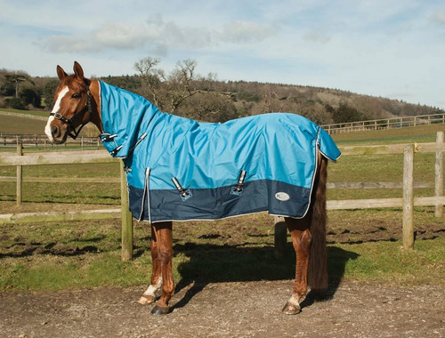 Rhinegold torrent full neck - torrent,