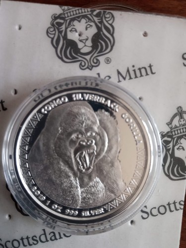 Scottsdale congo silverback