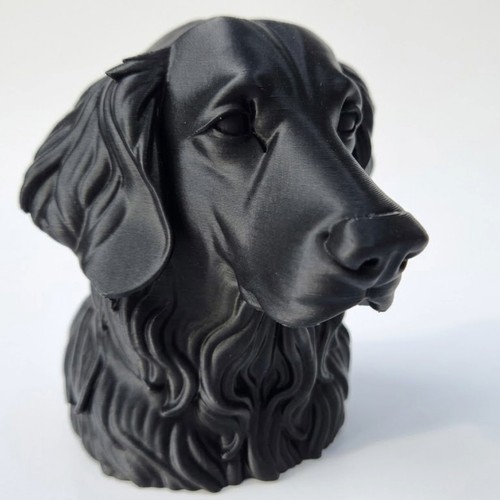 Flat coated retriever - bust,