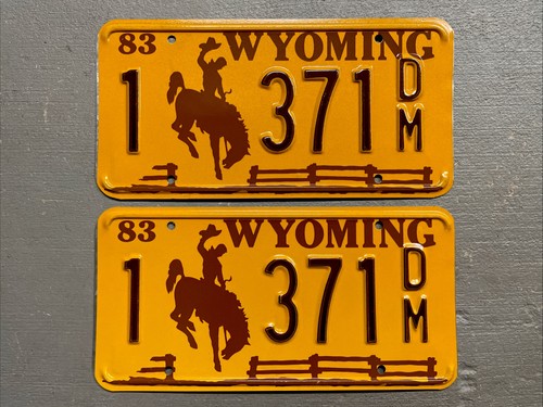 Vintage 1983 wyoming license - vintage,