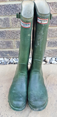 Hunter wellies tall - tall, in