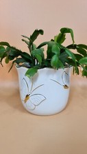 Planter Plant Pot White Gold