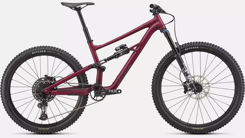 Specialized status 140 - 140, 2020