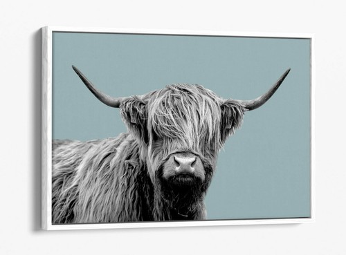 Highland cow duck egg blue - duck,