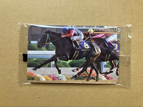 Rice shower j255 horse racing - rice,