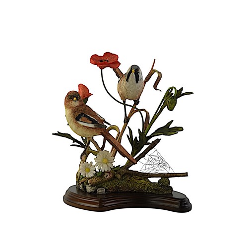 Country artists birds summer - country, artists,