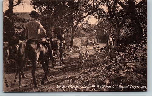 Vintage real photo postcard - vintage,