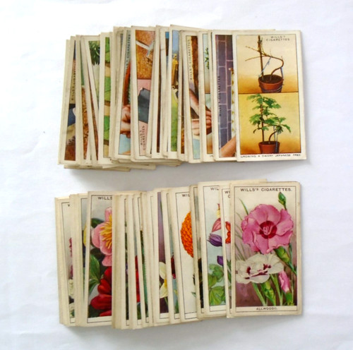 Garden flowers - garden,