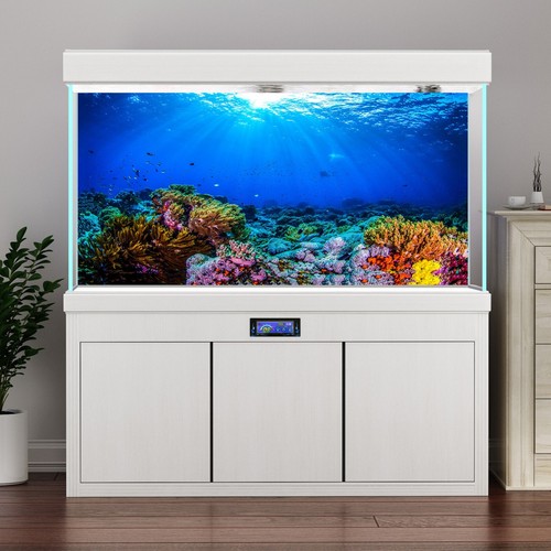 Custom aquarium background - custom,