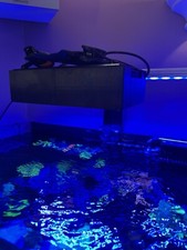 Ecotech Radion XR30 Light