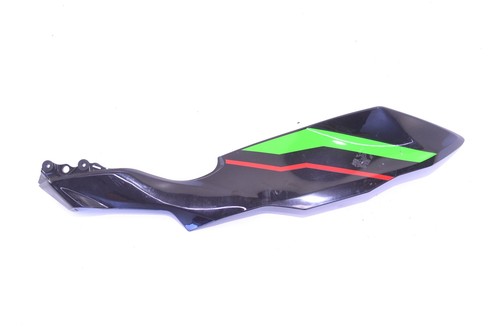 Kawasaki ninja 125 - 125, right