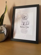 🐾 Dog Dictionary “Bichon