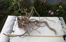Natural Root Driftwood Fish Tank Decoration 80 cm