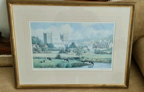 Framed print robin davidson - robin,