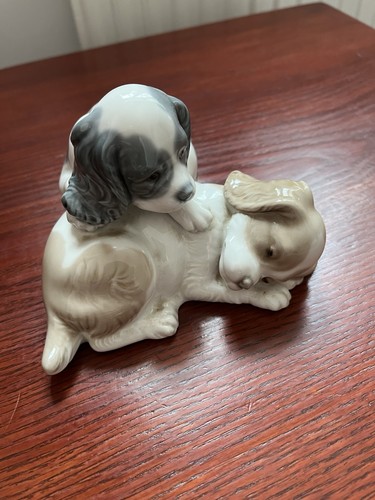 Nao puppies playing and one - puppies,