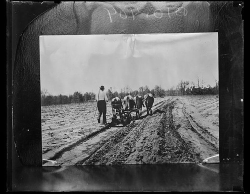 Photo 1920s farmers - farmers, planting