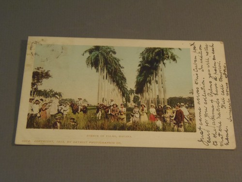 Avenue palms havana cuba - avenue, palms,