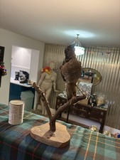 Taxidermy Sparrowhawk Bird