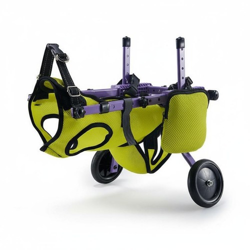 Dog rehabilitation wheelchair - rehabilitation,