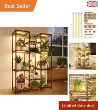 Elegant tier plant - plant, stand