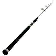DAIWA Saltiga Coastal SG 58S-2/3S Jigging Rod #PB13178