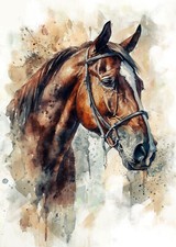 Horse wall art print Head