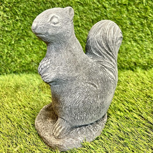 Concrete squirrel with - concrete,