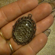 Authentic STUNNING Real Snake