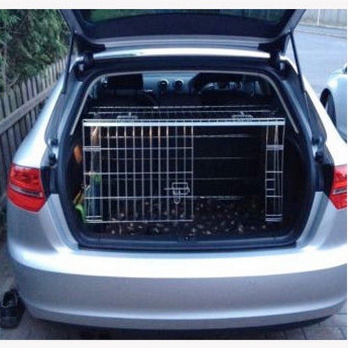 Pet world audi - world, sloping