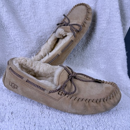 Ugg dakota women suede - ugg,