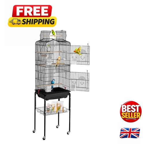 Compact outdoor bird flight - bird,