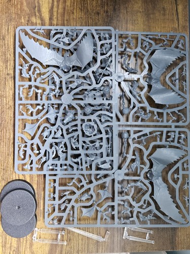 Terradon riders seraphon - x3,